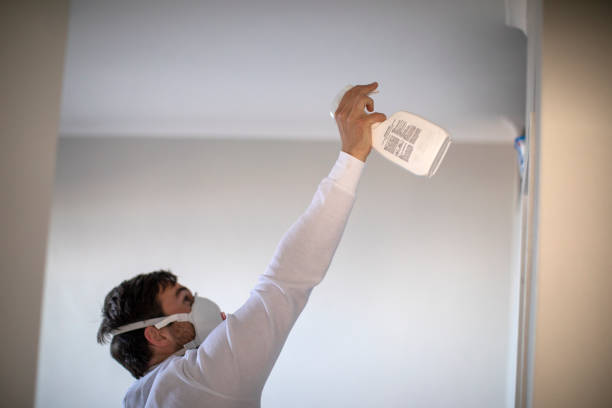 Best Affordable Mold Removal  in Willamina, OR