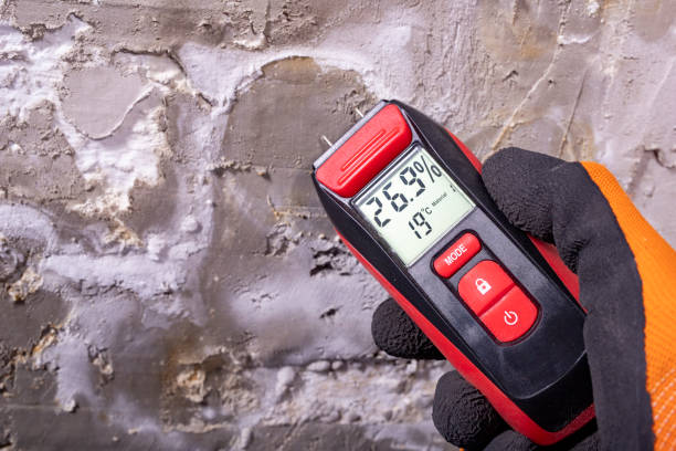 Mold Removal Process in Willamina, OR