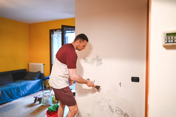 Best Crawl Space Mold Removal  in Willamina, OR