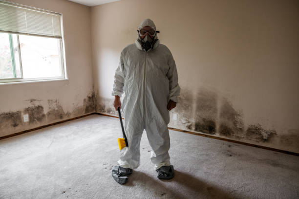 Best Mold Removal Process  in Willamina, OR